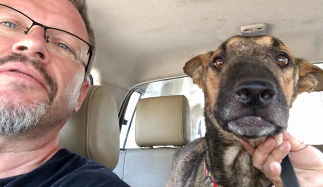 Facebook: Michael, el hombre que adoptó a 80 perros rescatados de las calles [VIDEO]
