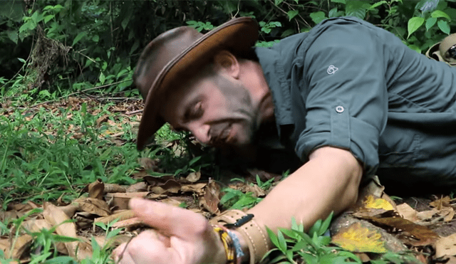 Un video muestra al famoso 'Coyote' Peterson siendo picado por una gigantesca hormiga bala.