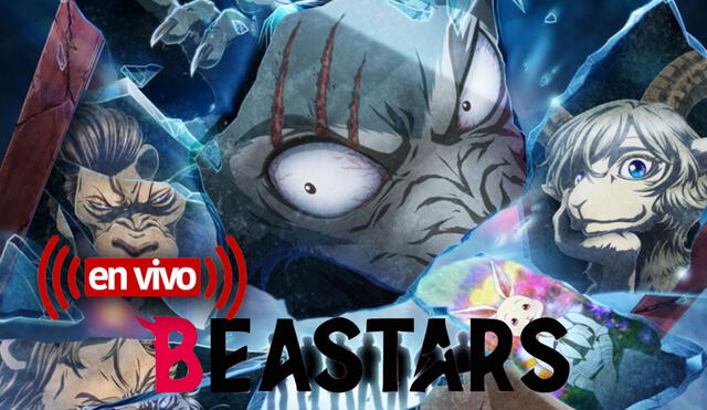 Beastar temporada 2 tendrá un total de 24 episodios. Foto: Orange