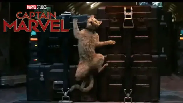 Capitana Marvel: el gato Goose es el protagonista del nuevo adelanto [VIDEO]