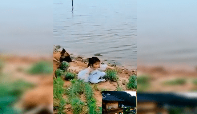 Facebook viral: niña se aproxima a peligroso río para sacar pelota y su perro llega a su rescate [VIDEO] 