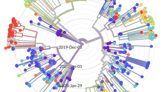 Coronavirus y secuencia genética