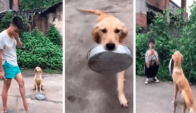 En Facebook, un perro sostenía su plato de comida para pedir comida a las personas en la calle y recibió conmovedora ayuda.