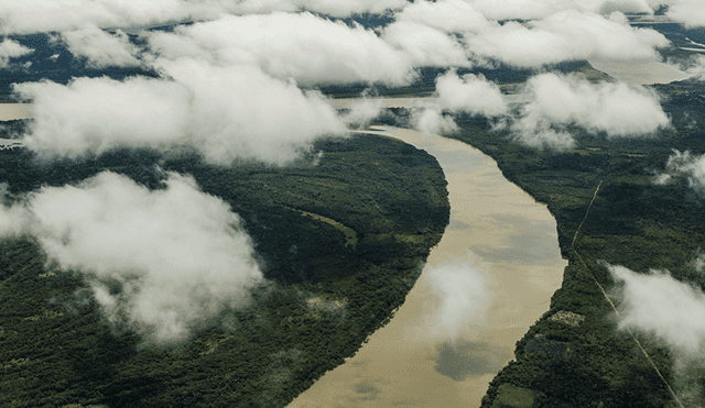 Organizaciones indígenas buscan titulación de 780 mil hectáreas de sus territorios