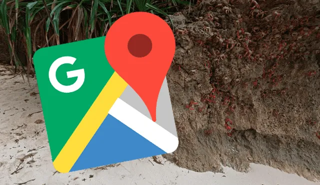 Google Maps: cámaras cantan a miles de cangrejos atacando a una muchacha [FOTOS]