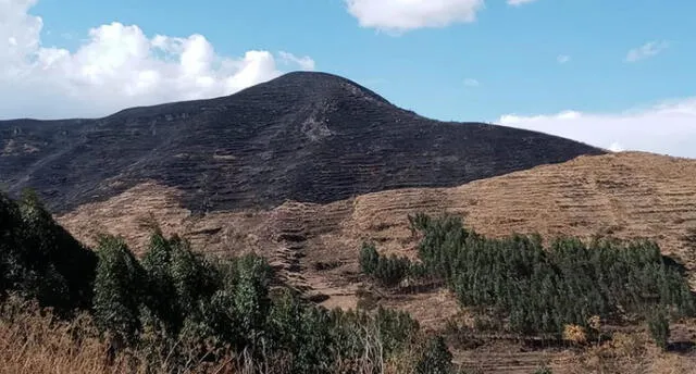 Comuna informó que el incendio no dejó daños materiales ni pérdidas humanas. Foto: Municipalidad de Cusco.