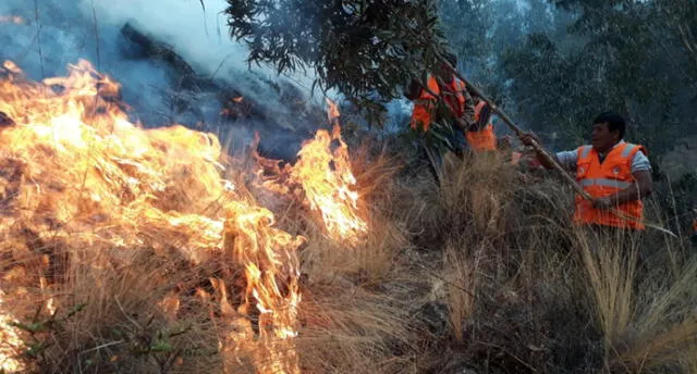 Anciana provocó incendio forestal que se prolongó por más de 30 horas.