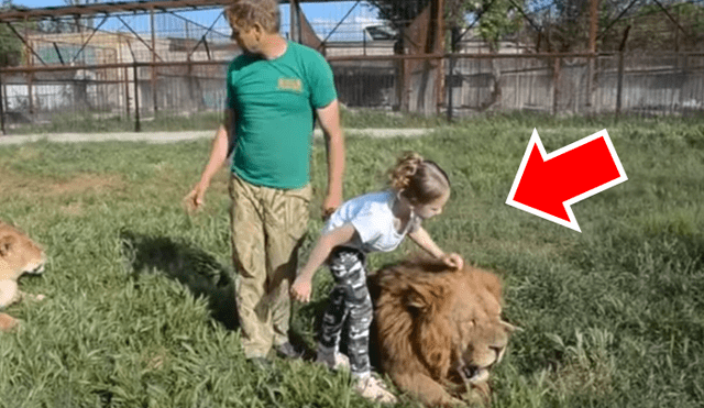YouTube viral: Niña entra a calabozo de leones y la reacción de estos deja impactados a todos [VIDEO]