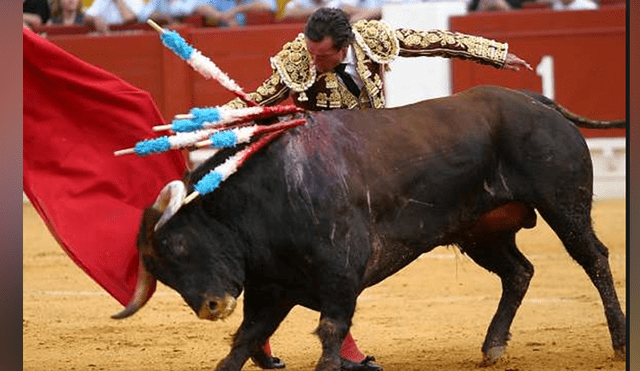 Presentan demanda contra corridas de toros, pero aún no ha sido admitida por el TC