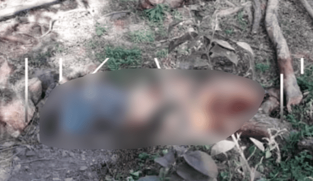 ¡Macabro! Encuentran cuerpo torturado y mutilado de médico de 71 años en Santa Eulalia