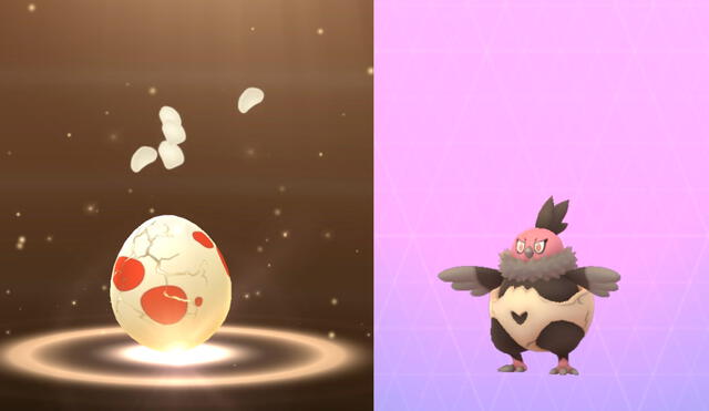 Vullaby eclosiona de los huevos extraños. Foto: Pokémon GO