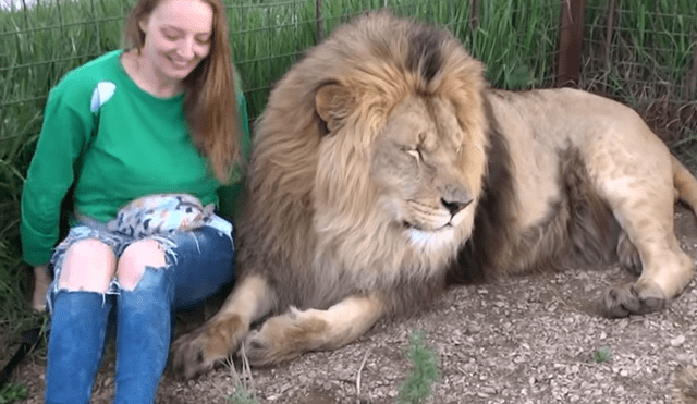 Desliza hacia la izquierda para ver la reacción que tuvo el gigantesco león tras encontrarse con la turista. El video es viral en YouTube.