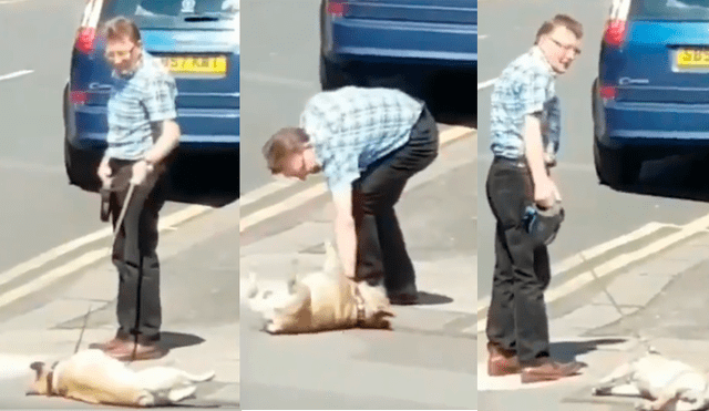 Video es viral en Facebook. El dueño del can no sabía qué hacer ante la singular conducta de su mascota cuando estaba a punto de cruzar la pista