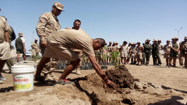 Soldados de Tacna adoptan un árbol en fuerte Tarapacá