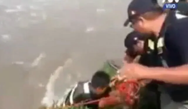 Serenos arriesgan su vida para salvar a perro de río Rímac en Chosica | VIDEO