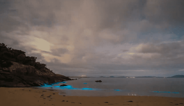 El fenómeno de la bioluminiscencia pudo hacer posible este magnífico video. Foto: Videlo/ YouTube