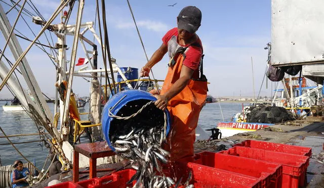 Produce propone elevar derechos de pesca de 3,7 a 18,9 dólares por tonelada