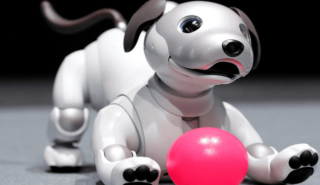Aibo, el perro robot que realiza las tareas más increíbles [FOTOS]