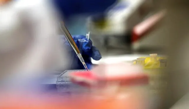 Detalle del trabajo de una científica en un laboratorio, en medio de la pandemia del coronavirus. Foto: EFE