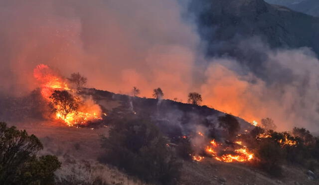 Incendio forestal en Accha-Paruro. Foto: Defensa Civil