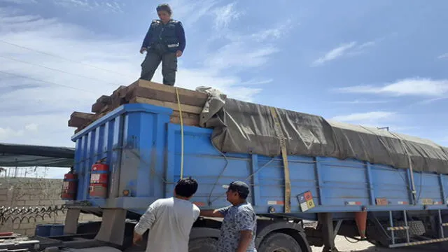 Madera fue transportada de manera ilegal desde Madre de Dios hasta Arequipa.