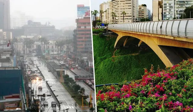 Este 22 de setiembre arrancó la primavera, estación que se espera con 14 grados Celsius como promedio. Foto: Composición LR.