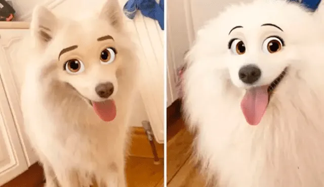 Snapchat estrena tierno filtro para perros que los convierte en personajes de Disney. Foto: Ladbible.