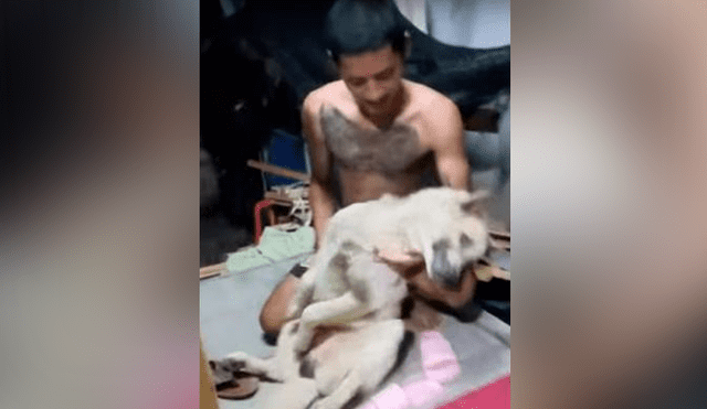 YouTube viral: perrito no quiso que dueño lo bañe y fingió su muerte [VIDEO]