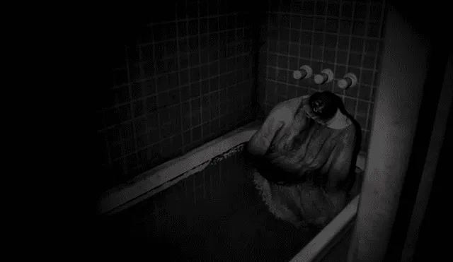P.T. es la demo jugable de Silent Hills, videojuego de terror que iba a ser desarrollado por Hideo Kojima y Guillermo del Toro.