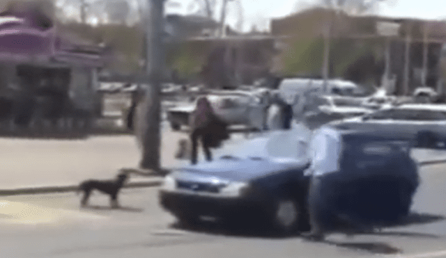 Vía YouTube: perro callejero le da terrible lección a chofer que le toca el claxon [VIDEO]