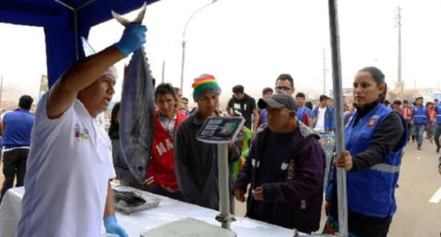 En Arequipa venderán una tonelada de bonito y jurel a precios módicos 