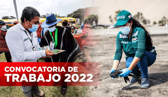 Serfor convocatorias 2022: postulantes pueden aplicar a las vacantes entre el 6 y 12 de diciembre. Foto: composición Jazmin Ceras/LR/Serfor