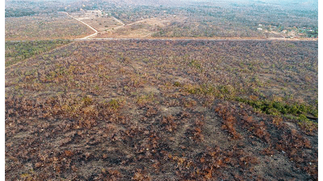 Bolsonaro - incendio forestal