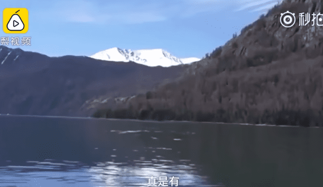 YouTube Viral: Revelan la verdad del 'monstruo' filmado en lago de China [VIDEO]