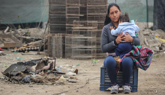 Carapongo: 135 familias aún viven en carpas y dependen de olla común