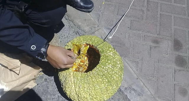Insólito: Confunden zapallo con explosivo y desatan alarma en calle de Arequipa