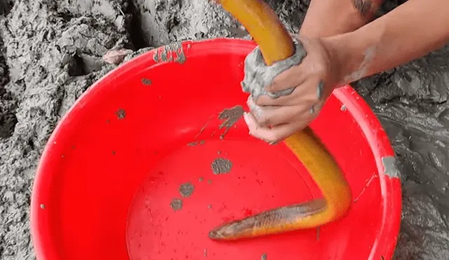 Derrama gran cantidad de tinte en misterioso hueco y aparecen decenas de peligrosos peces.