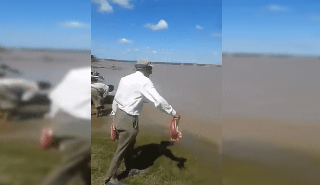 YouTube viral: Tiró carne a río lleno de pirañas y sucedió algo impactante [VIDEO]