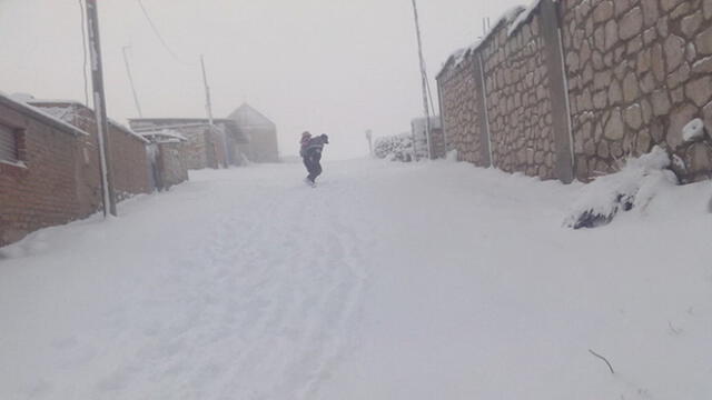 Arequipa: Piden ayuda en Imata por intensas heladas y nevadas [FOTOS Y VIDEO]