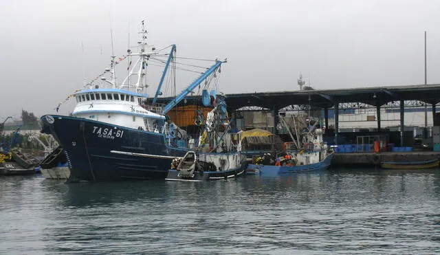 Exportación del sector pesca se recupera en primer bimestre