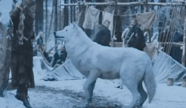 ¿Es Game of Thrones responsable del abandono masivo de perros Huskies en el Reino Unido?