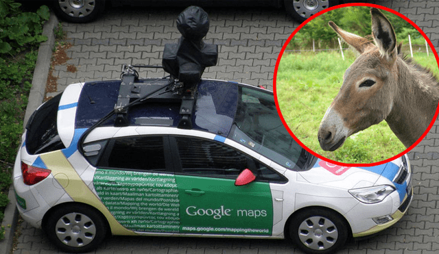 Google Maps: ¿El vehículo atropelló a un burro? Esta es la verdad 