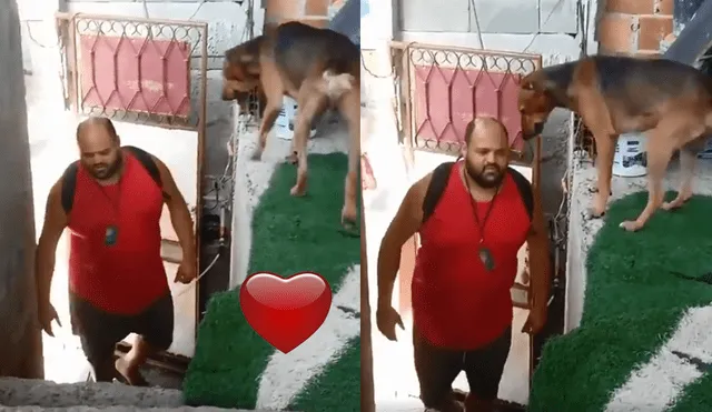 Facebook viral: amoroso recibimiento de un perro a su dueño se viraliza