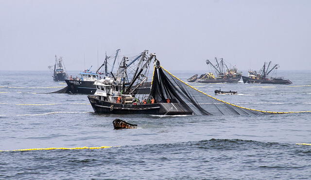 Ministerio de la Producción autorizó pesca exploratoria de anchoveta. Foto: Produce