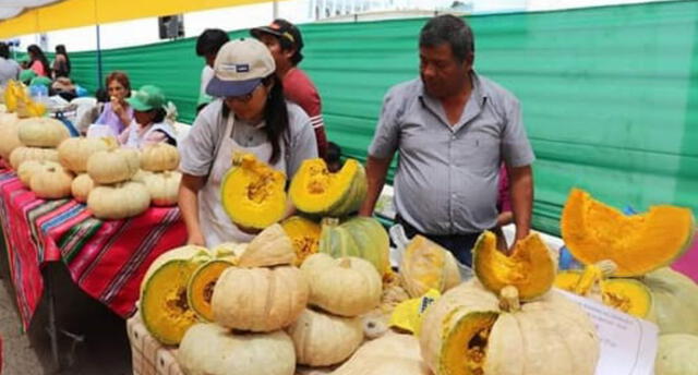 Agricultores ofertarán zapallos en dos mercados de Tacna.