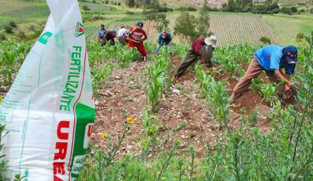 Fertilizantes: Midagri crea comisión multisectorial para garantizar la compra de urea
