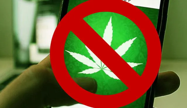 Google eliminará las aplicaciones que faciliten la venta de marihuana [FOTOS]