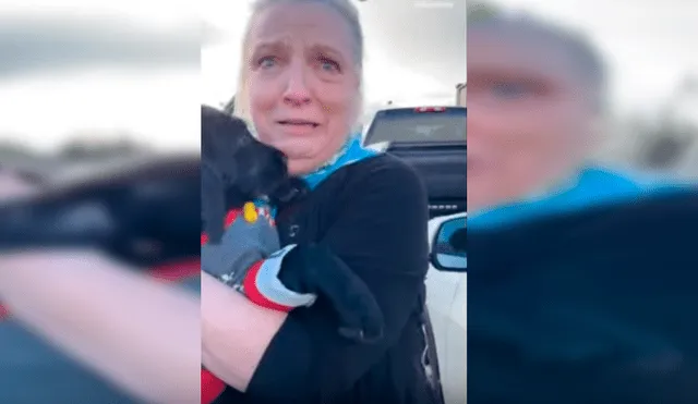 Video es viral en YouTube. Su hija decidió sorprenderla obsequiándole un labrador parecido al que había perdido hace un año y su emotiva reacción ha dado la vuelta al mundo