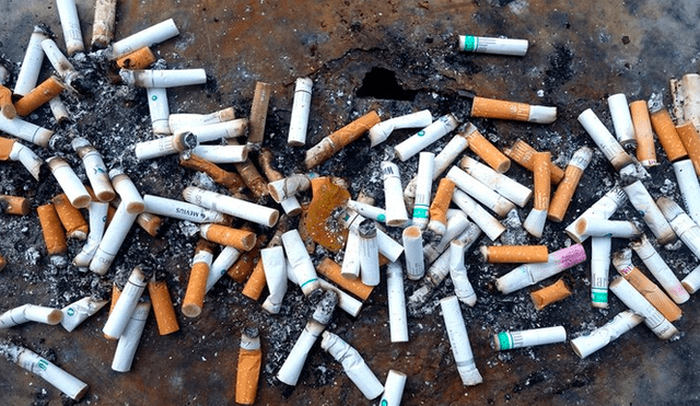 Tirar una colilla de cigarro en espacios públicos podría multarse con 300 dólares