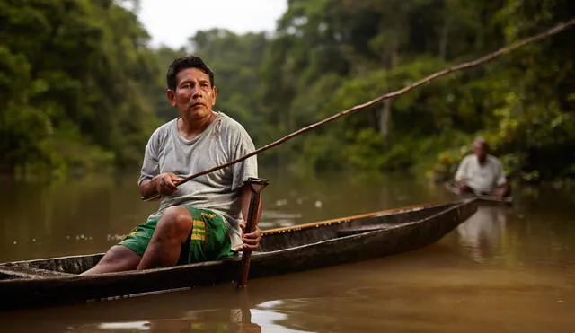 Guardianes del Bosque, un documental que retrata la incansable lucha de los Maijunas 